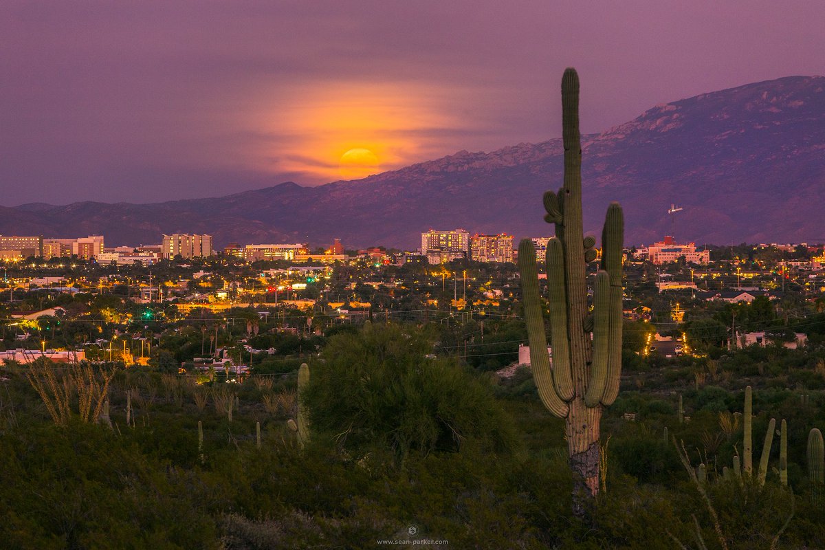 "Hunter's" Full Moon Rise over Tucson, Arizona this evening! #FullMoon #moonrise #huntersmoon #tucson
