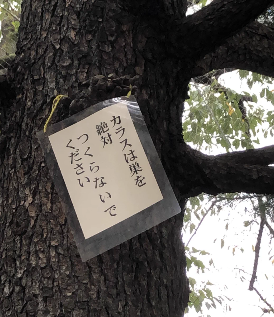 何これ斬新wwカラスに向けてのメッセージww