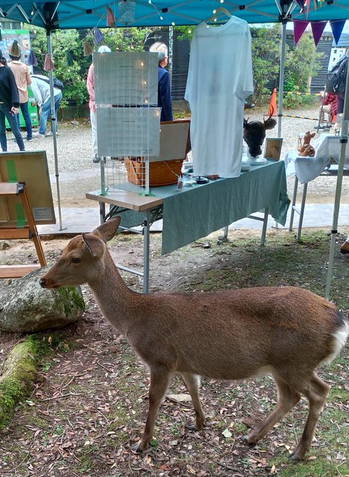 中村文人 奈良 鹿ものがたり おもしろ 紙学 著者 奈良公園ゴミゼロプロジェクトメンバー さん がハッシュタグ 鹿苑 をつけたツイート一覧 1 Whotwi グラフィカルtwitter分析