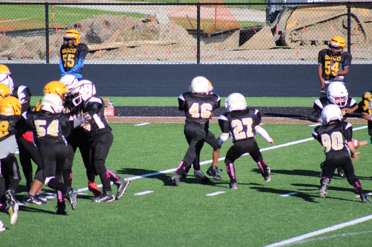 Shawn Koehler tweet media