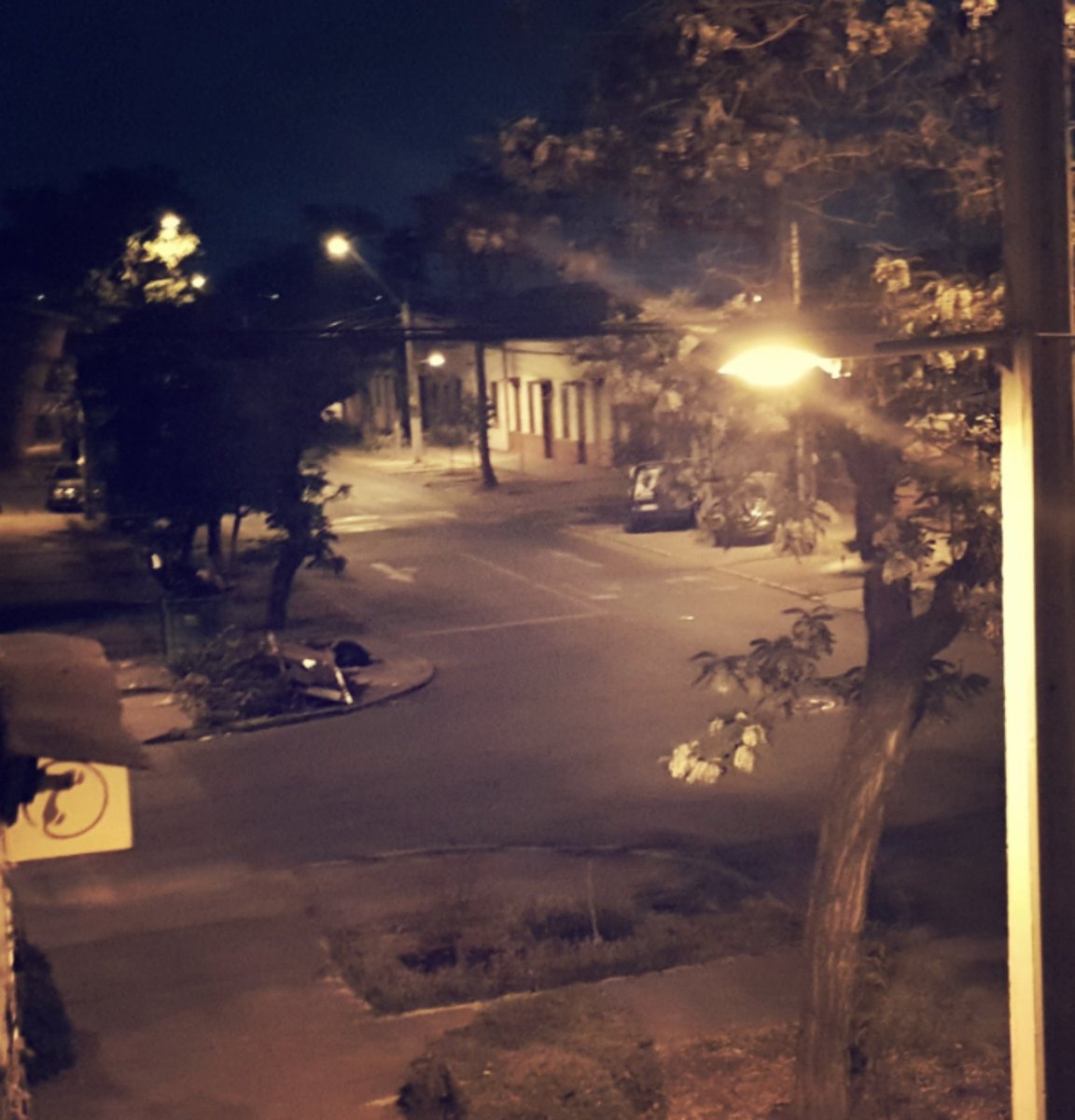 kakito1's tweet photo. Desde mi ventana miro este espectaculo dantesco de basuras organicas . Sera una manera de degradar los barrios que estan en el "patio trasero" de @Muni_Stgo de @AlessandriFelip . Que sus vecinos ya no soporten vivir en los barrios. ¿Y estos terrenos sean presas de inmobiliarias? https://t.co/vKSqmg1rfT