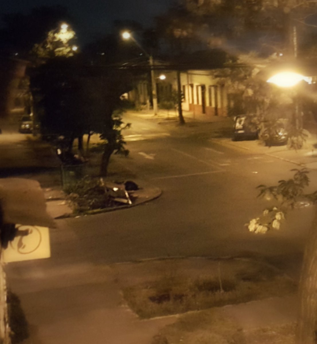 Desde mi ventana miro este espectaculo dantesco de basuras organicas . Sera una manera de degradar los barrios que estan en el "patio trasero" de <a href="/Muni_Stgo/">Santiago</a> de <a href="/AlessandriFelip/">Felipe Alessandri</a> . Que sus vecinos ya no soporten vivir en los barrios. ¿Y estos terrenos sean presas de inmobiliarias?