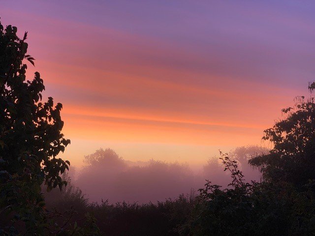 StandenNT's tweet photo. This beautiful #autumn #sunrise was taken by our visitor David Burrows. What a great picture. 😍 #standennt #EastGrinstead #beautifuldestinations #nationatrust

📸David Burrows https://t.co/neP9AiejLK