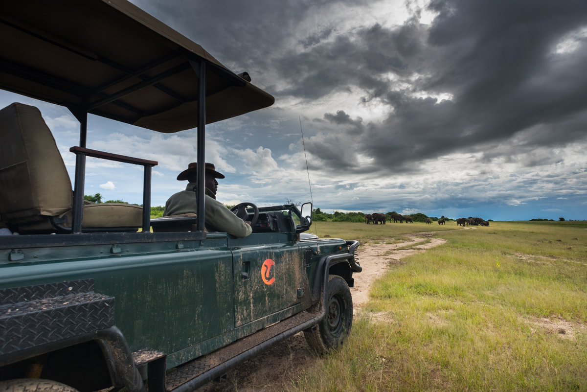 The storms are brewing over Chobe National Park! What can you see in the distance? 😍📷 

#Travel #Botswana