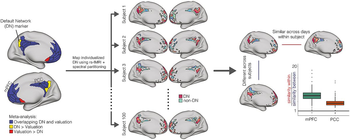Claudio Toro-Serey (@kako_toro) on Twitter photo My first lead-author publication has been accepted and is now in press at <a href="/NeuroImage_EiC/">NeuroImage</a>! Now much stronger thanks to the great input from our reviewers. Here we quantify the idiosyncrasy of the default network topography in mPFC/PCC across individuals.
doi.org/10.1016/j.neur… My first lead-author publication has been accepted and is now in press at <a href="/NeuroImage_EiC/">NeuroImage</a>! Now much stronger thanks to the great input from our reviewers. Here we quantify the idiosyncrasy of the default network topography in mPFC/PCC across individuals.
doi.org/10.1016/j.neur…
