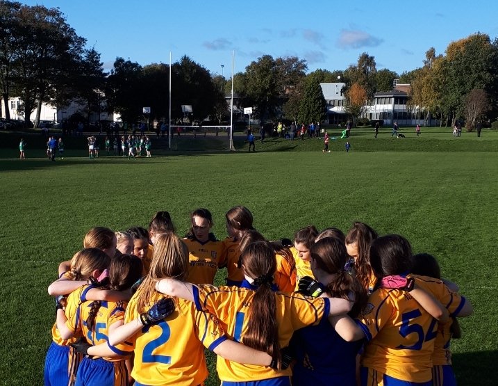 DeclanMCCK's tweet image. The @LadiesFootball Div6 #Champo Final was a master class in teamwork, fitness, skill and resillience by both teams. Edge of the seat match but @clgNaFianna 2005 team proud to finish runners up. Congrats to v.talented @stkevinskillian team.