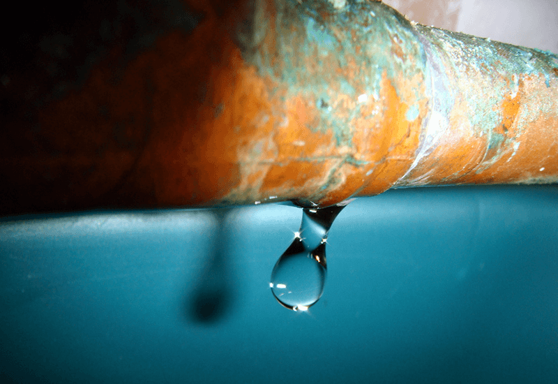 onesourceplumb1's tweet photo. One Source Plumbing of Texas is available 24/7 for all of your plumbing needs. It's even easier to schedule an appointment by booking with us online at: https://t.co/K0TP8NIVKI 

#Plumbing #Plumber #Dallas #DFW #monday #cold #emergency https://t.co/P63hLNw723