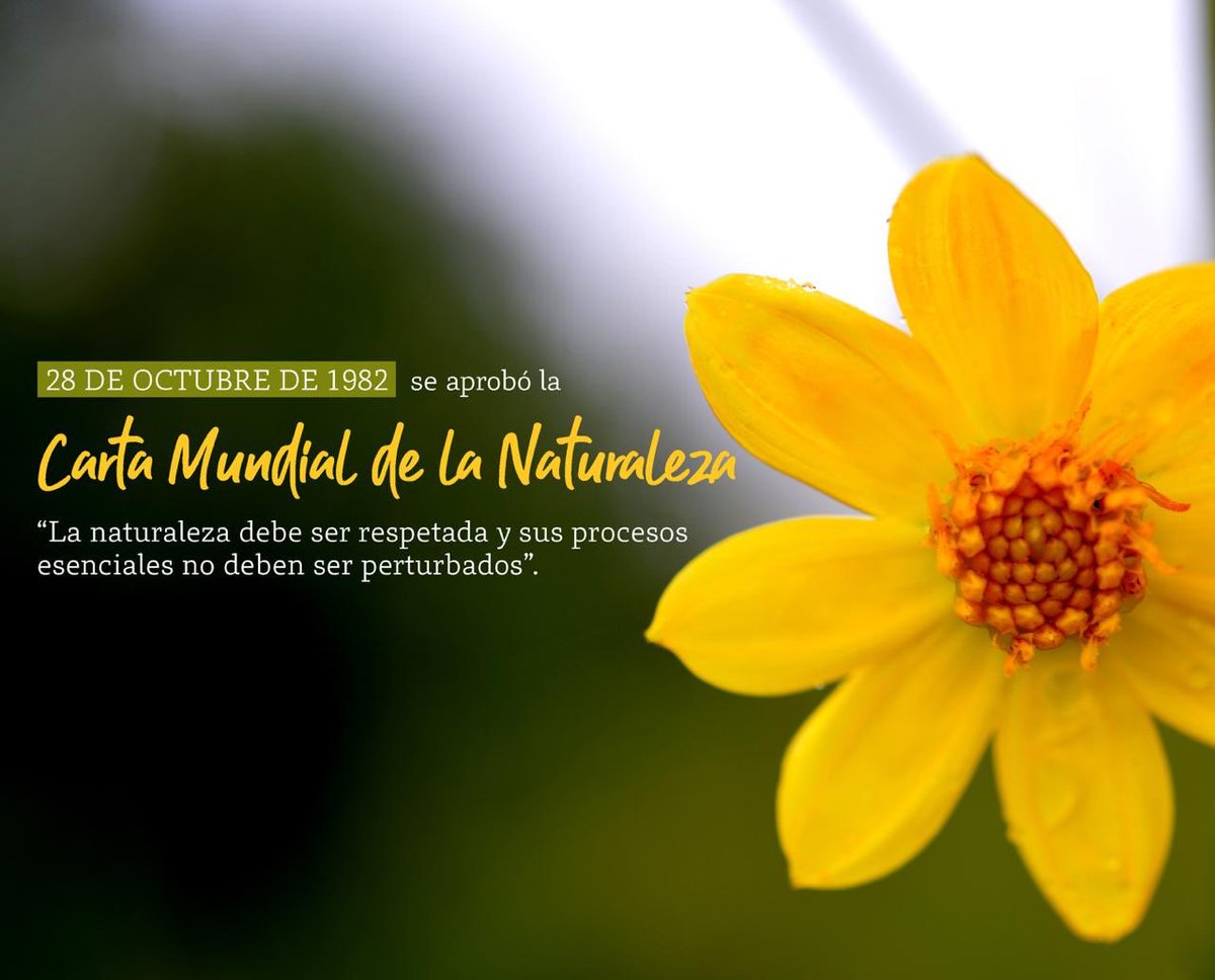 Adoptada y proclamada por la asamblea de la <a href="/ONU_es/">Naciones Unidas</a> el 28 de octubre de 1982, la “Carta Mundial de la Naturaleza” contiene los principios de conservación que figuran en 24 puntos, a los cuales debe guiarse y juzgarse todo acto del hombre que afecte a la naturaleza.