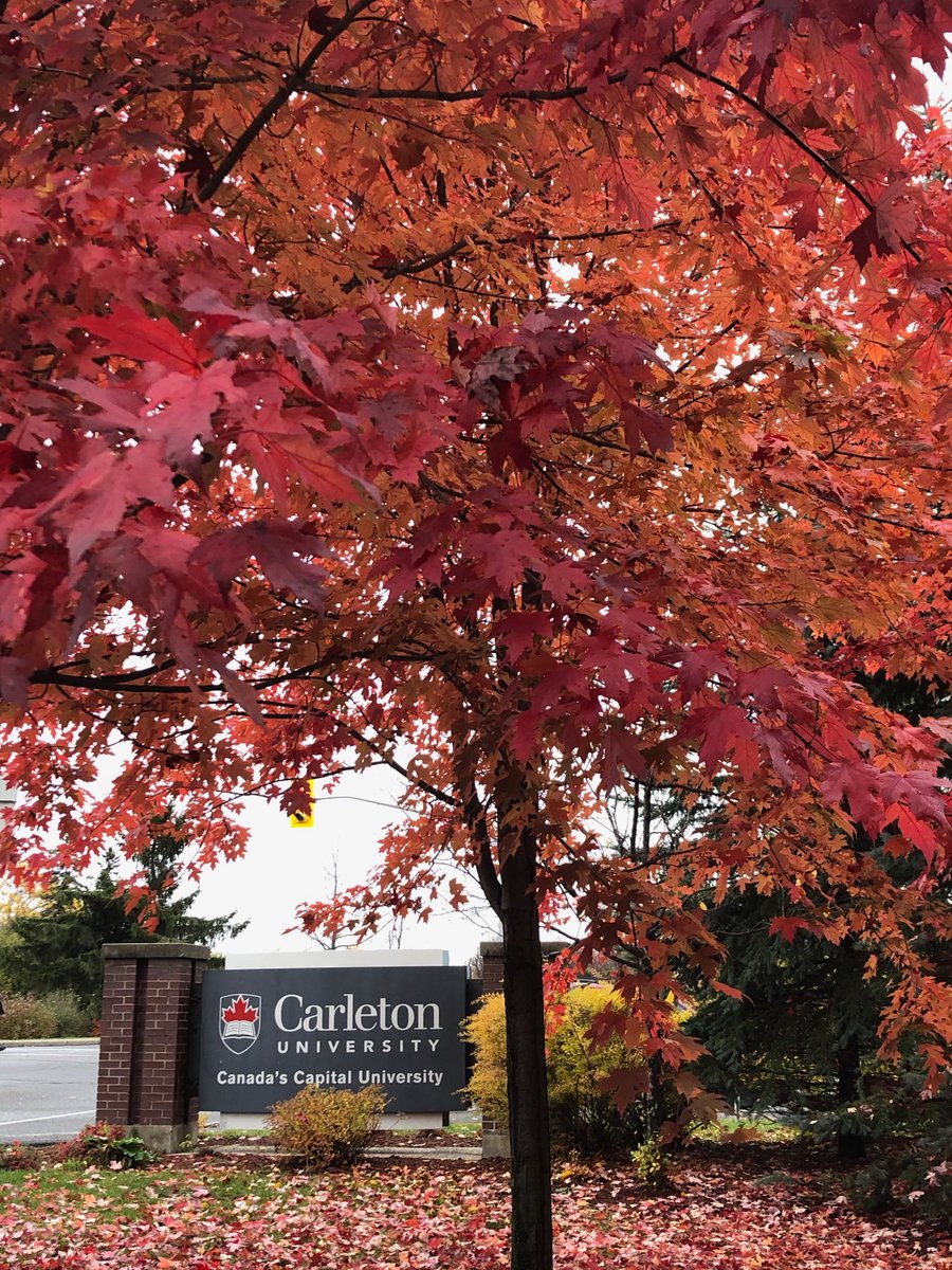 CarletonMedPhys's tweet photo. Beautiful fall colours @Carleton_U today! Looking forward to hearing about great @CarletonMedPhys research at #OMPI30 symposium on Thursday Nov 7 #IDMP2019 @cu_research https://t.co/UwfP5dbav8