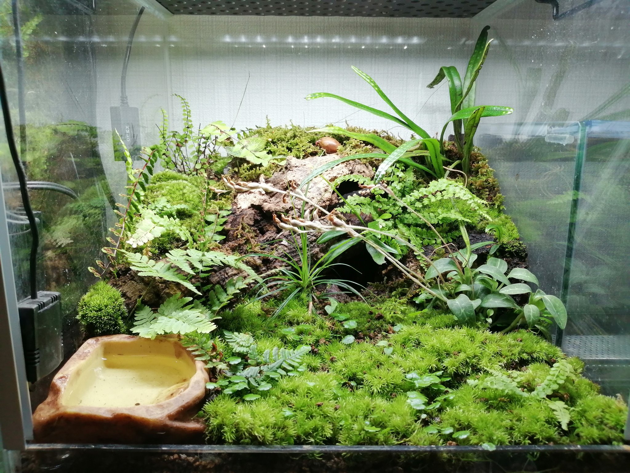 パルダリウム コルク 【公式通販】