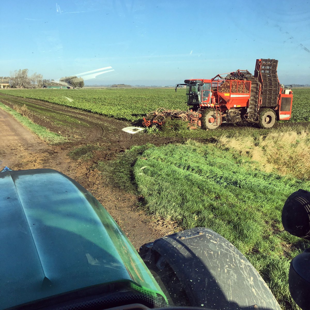 honestfarmer_'s tweet photo. All happening on a Monday, ploughing ex potato land and drilling first Wheat, sugar beet coming out the ground, and I’m out spraying stale seedbeds ahead of planting winter beans 🚜 #flatoutfarming https://t.co/EYUQ1h9XNl