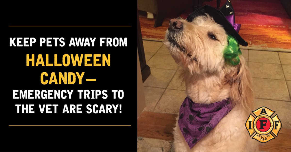 IPFF2's tweet photo. Halloween is scary enough across #Iowa, no one needs a trip to the vet! Chocolate and candy can be lethal for your pets (or at the very least, costly for you). Keep your candy in a place your pet cannot reach! #IAFF #IAFFsafetytips #YourIPFF https://t.co/OHud1yU9XX