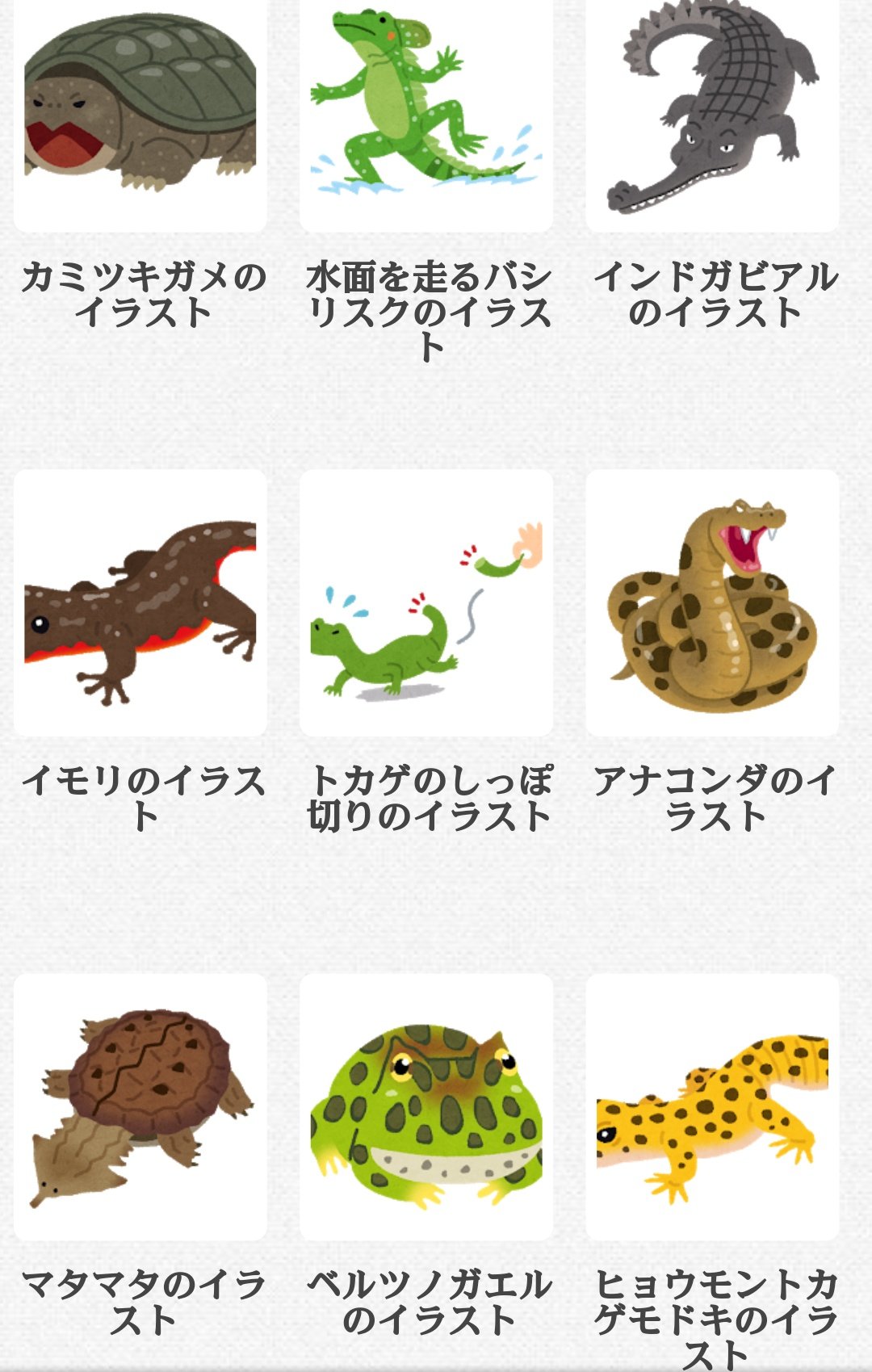 カエルチャン いらすとやさんは意外とマニアックな両生類爬虫類も取り扱ってて最高だと思うの T Co Ug2o43gnmc Twitter
