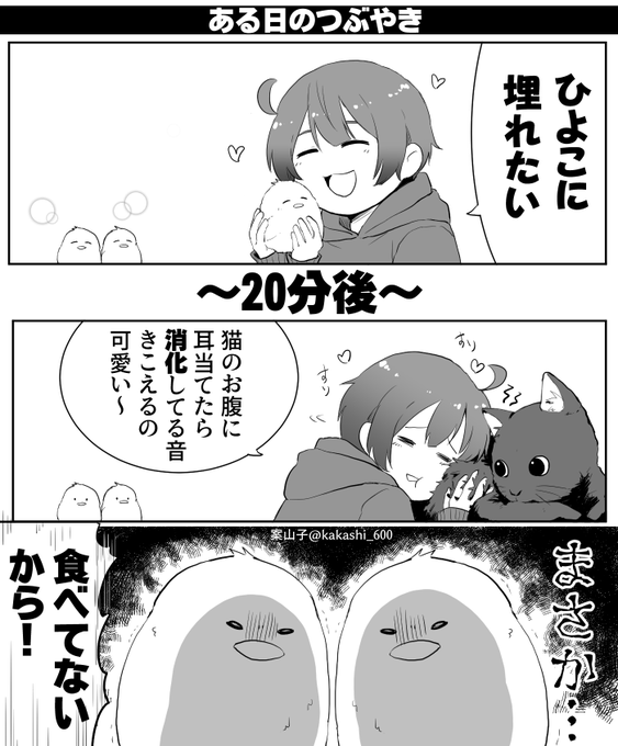 案山子 日常 組