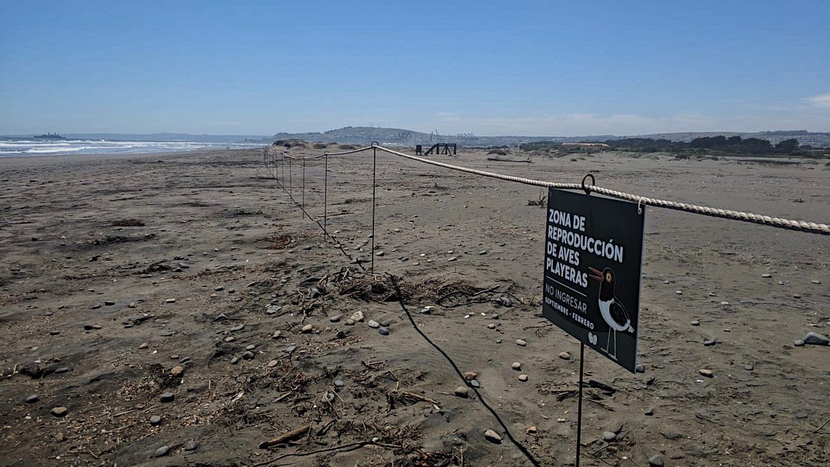 FundCosmos's tweet photo. Nueva señalética en el #ParqueHumedalRíoMaipo
Presta atención cuando recorras el parque, porque hemos instalado carteles que bordean toda la #ZonaDeNidificación del #Pilpilén, #AvePlayera que habita el #HumedalRíoMaipo y que debemos proteger
#CoastalSolutions #Roc @santodomingocl https://t.co/kFngfmWs2u
