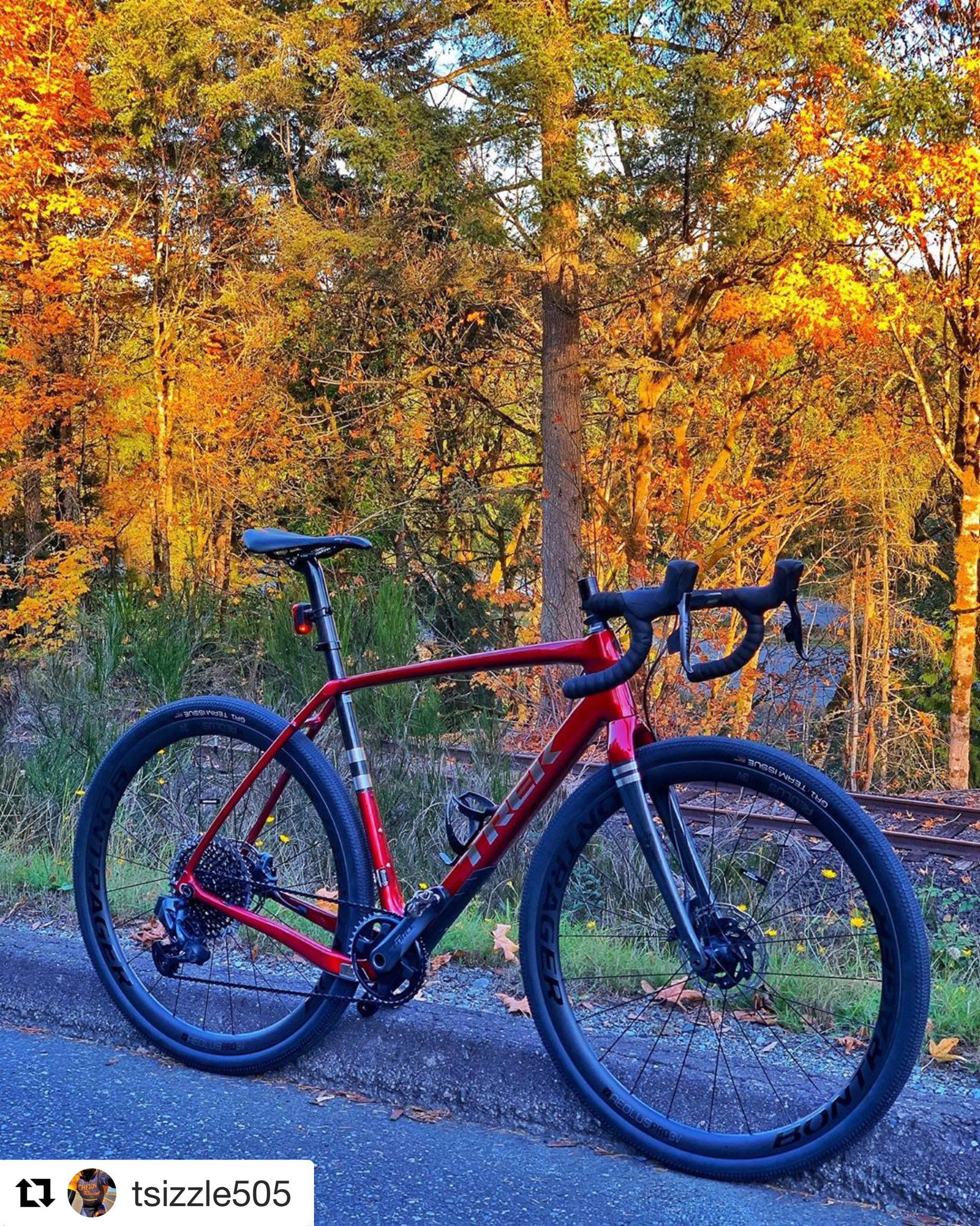 Trek Clarendon TrekBikesARL X