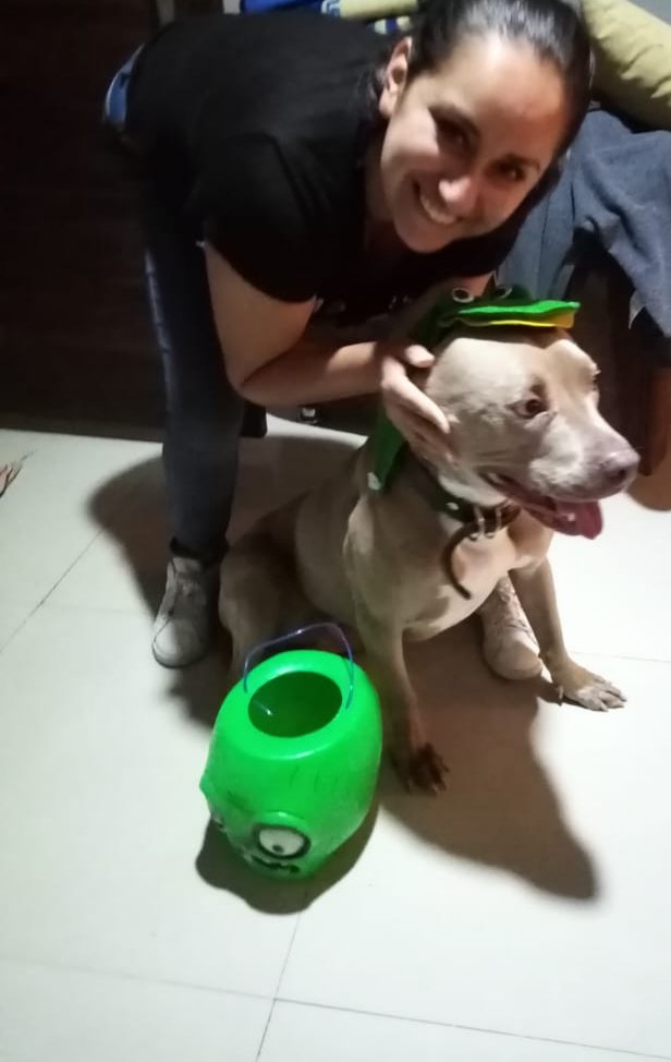 Cynan08061251's tweet photo. Amo a mi bb perro Draco. porque siempre le gusta participar y jugar en Dinamicas @guardykan #halloweendogs https://t.co/XgJ1JeONAX