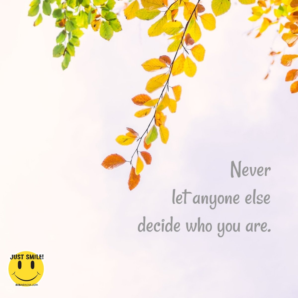 BeBasimcha's tweet photo. Never let anyone else decide who you are.
.
.
.
#Positive #Life #Love #KeepGoing #KeepShining #KeepSmiling #StayStrong #BePositive #BeBasimcha #LifeQuotes #PositiveQuotesDaily https://t.co/ImEaq4oge5