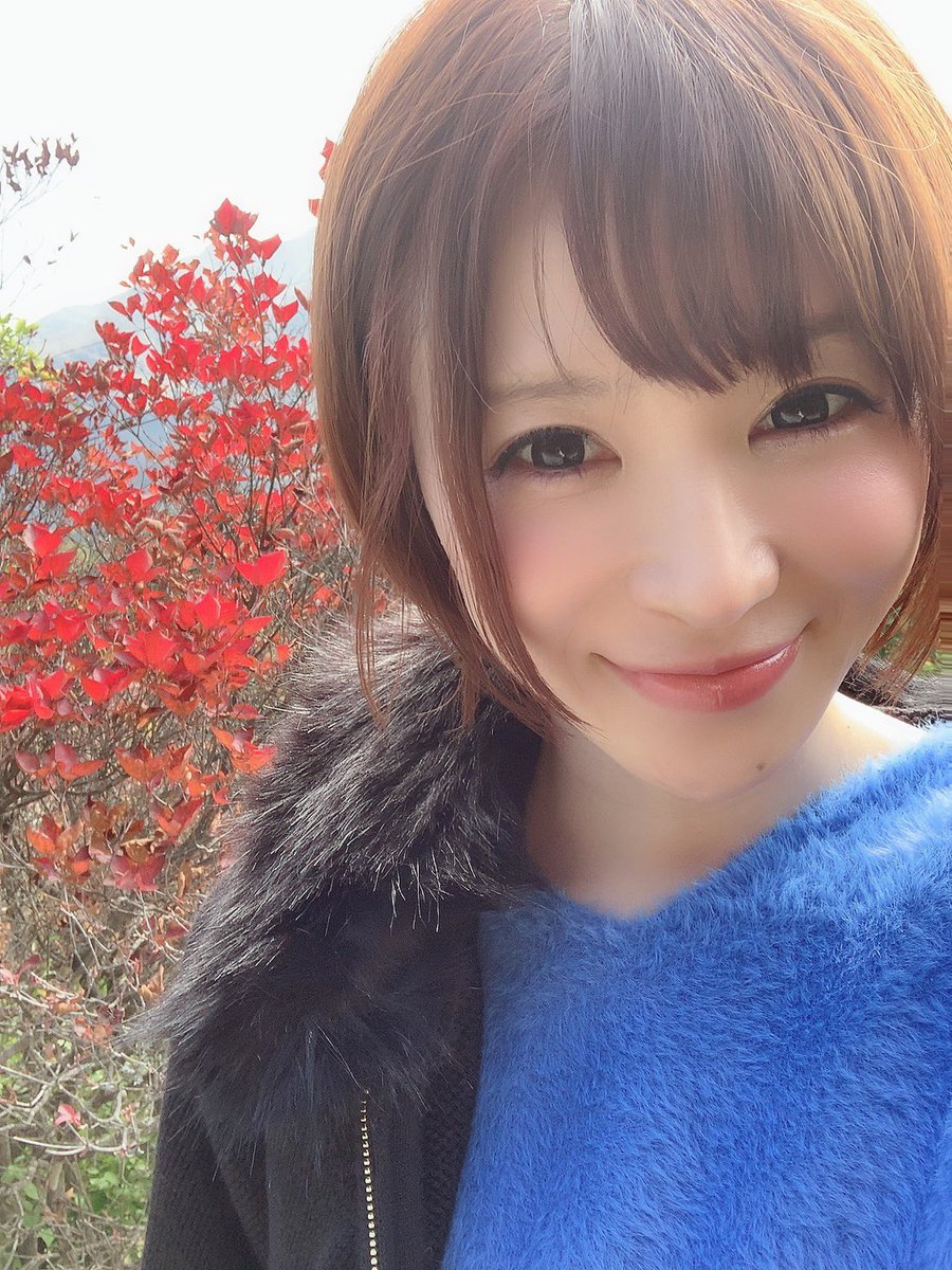 手島 優 てじま ゆう 紅葉見に行こうよ 50ta 紅葉に抱かれて 紅葉見ると歌っちゃう 手島 優 てじま ゆう 紅葉見に行こうよ 50ta 紅葉に抱かれて 紅葉見ると歌っちゃう