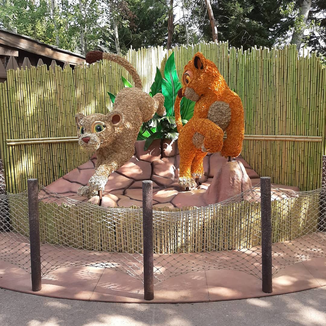 BoncheEdeline's tweet image. 