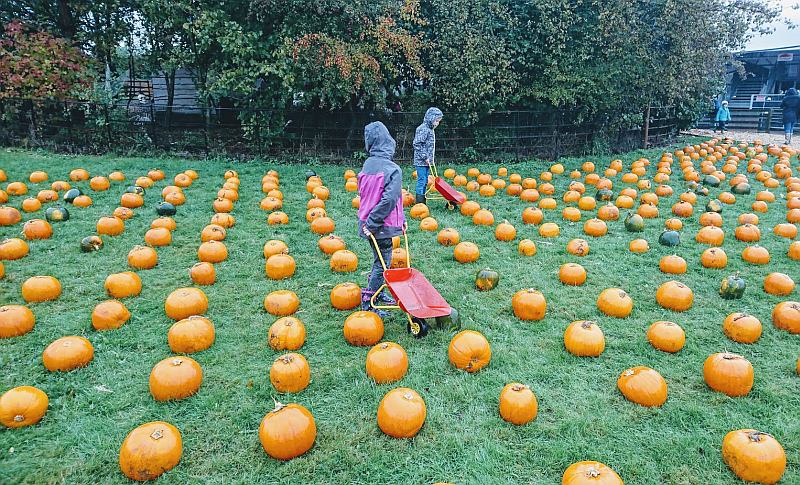 Stay Play Explore tweet media