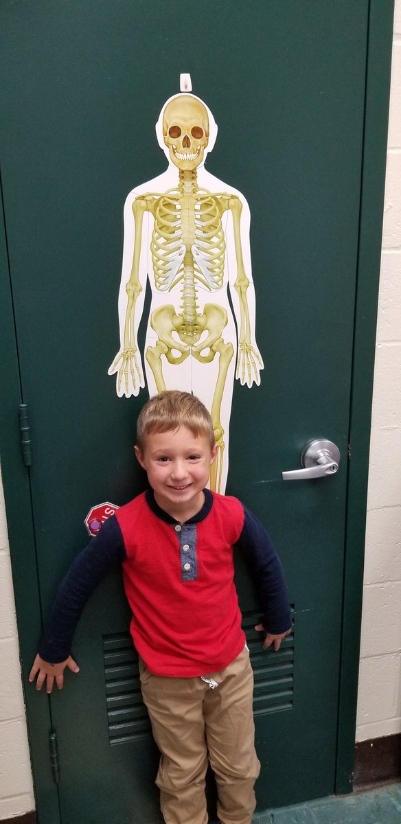 CatBuckheit's tweet photo. We are learning about our skeletal system and human bodies in K! #cpmrocks #teamkindness #thematiclearning #scienceandwriting #adventuresinkindergarten #makinglearningfun https://t.co/OoFiv0VOFP