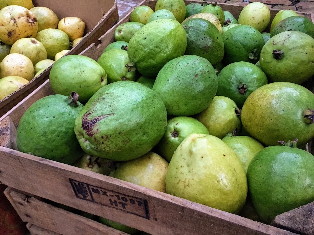 The finest hand picked &amp; made in Dade #RedlandGuava #GuavoniaGuava Tree ripened &amp; kissed by the Florida sun. #RedlandRaised #FreshFromFlorida <a href="/freshfromFL/">Fresh From Florida</a> <a href="/dadecountyag/">DadeCountyFarmBureau</a> <a href="/ediblesofla/">Edible South Florida</a> #Myrtaceae #Psidiumguajava #Guava #Guayaba