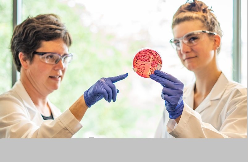 MountVernonLife's tweet photo. https://t.co/5NaODQnaRZ
Skagit Valley College is proud to announce two new innovative programs will expand equity in access and achievement for students and help them take an important next step on their pathway toward a STEM career. https://t.co/g9Dptd5nVy