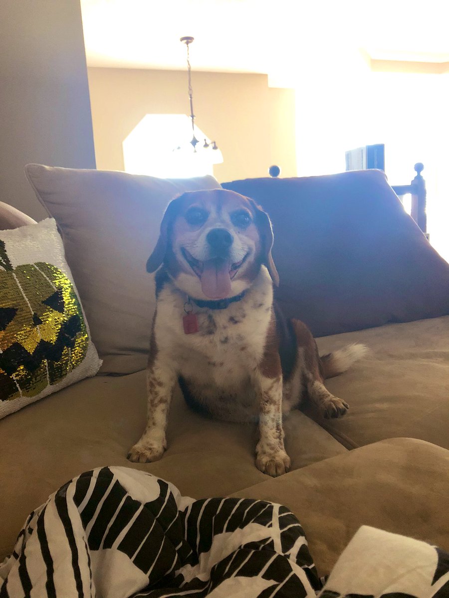 ⭐️ butters 🍜 tweet media