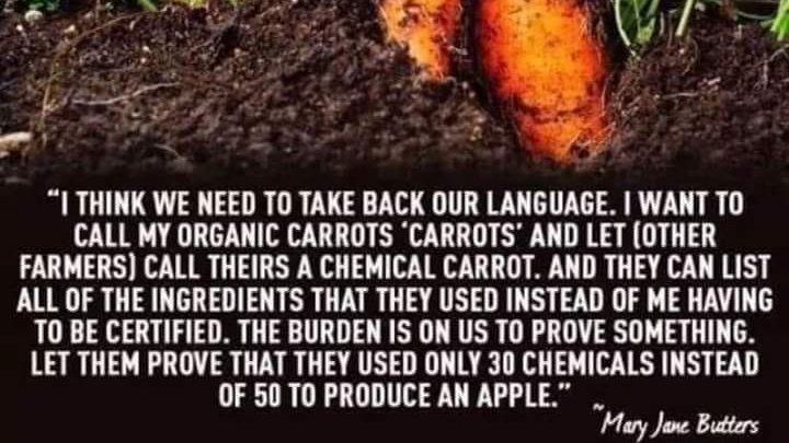 PlantCreations's tweet photo. #organic #vegetables #GardenersWorld https://t.co/xhPxcJe7HS