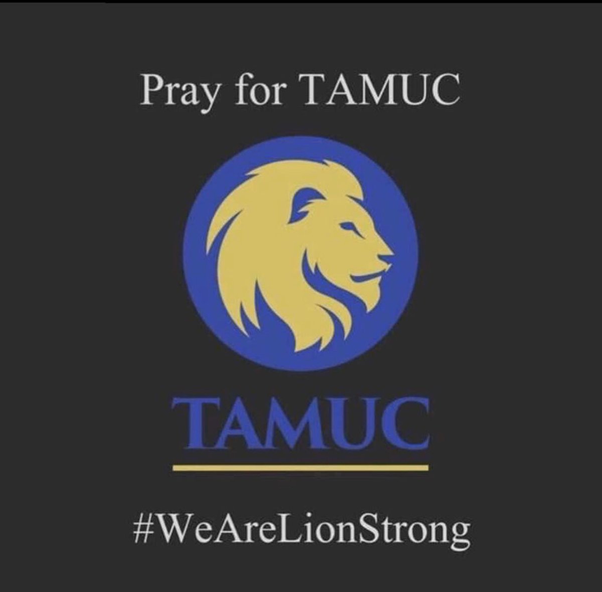 tamucdeltas's tweet photo. “So do not fear, for I am with you; do not be dismayed, for I am your God. I will strengthen you and help you; I will uphold you with my righteous right hand.” Isaiah 41:10 

#TAMUC please feel free to contact the Counseling Center at (903) 886-5145 and schedule a time to meet. https://t.co/NuVzLxFhel