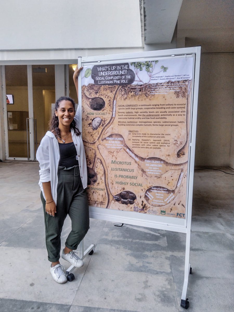 Small_Mammals's tweet photo. And the best poster prize in the 1st PhD student Meeting of the Biology & Ecology of Global Changes doctoral programme went to a #SMaLL member!! Congratulations Rita!! 🥳🎉
@CESAM_Univ @FC_UL #BEAG #Microtus #scienceposter https://t.co/gP6ammniNi