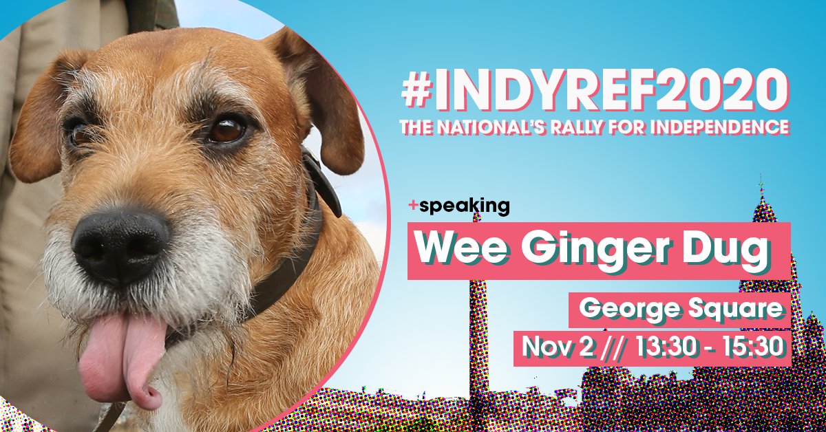 Will you be joining the <a href="/weegingerdug/">Paul Kavanagh</a> this Saturday? #indyref2020