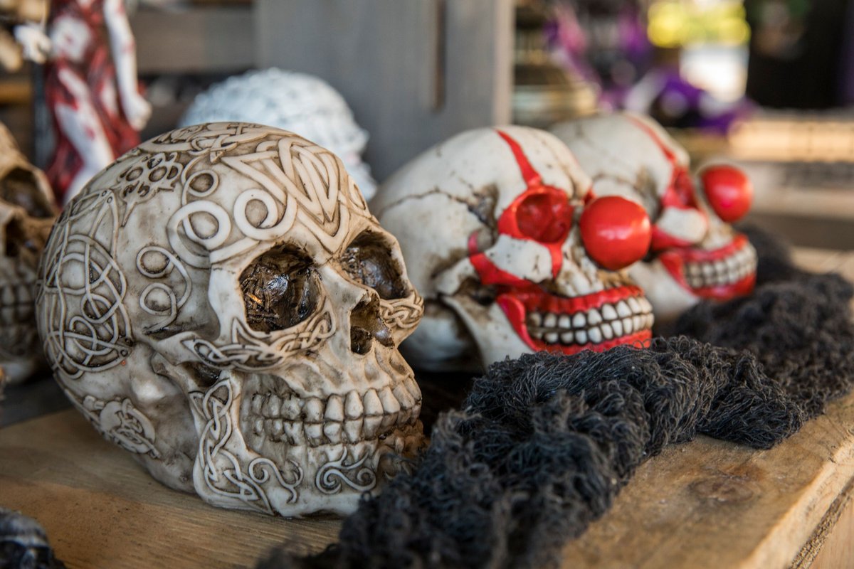 Oak Island Creative tweet media