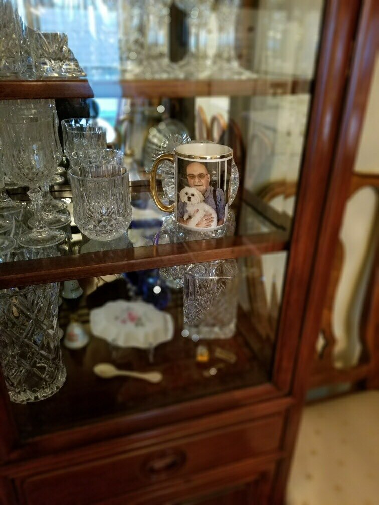 dkalentzis's tweet photo. I customized a mug for Grandpas birthday ... him &amp; 🐶 Teddy...
He says it’s “too pretty” to use 
so he displayed it in the cabinet 
✨So sweet ✨
I’ll have to get him a second one!!! 
#shutterfly20 #myshutterflystory  @shutterfly #partner https://t.co/luUPpijJMv