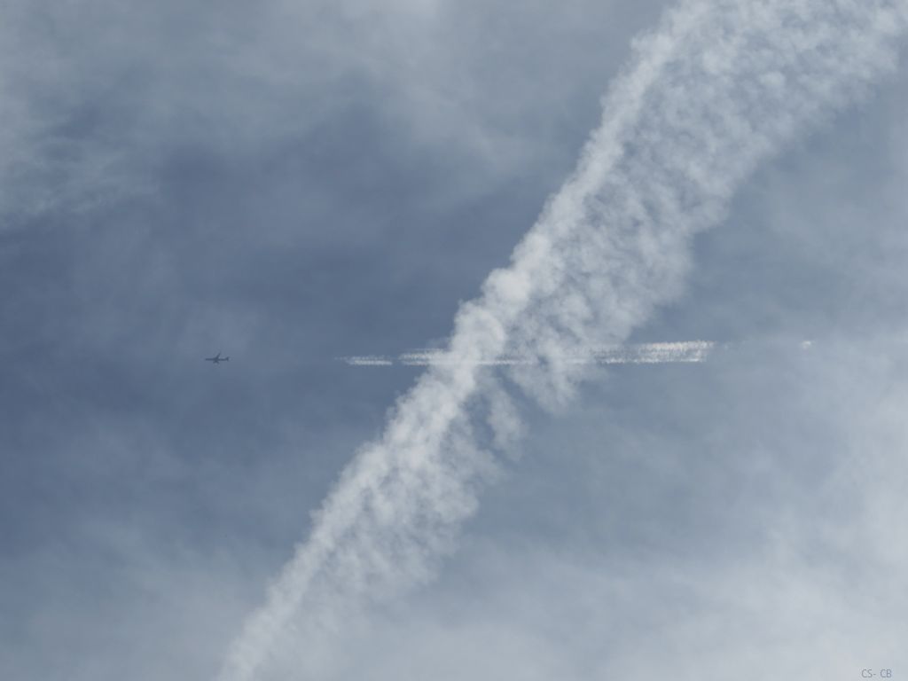 beingmyself_25's tweet photo. #SkyMess #GeoFuckery #GeoEngineering #Skywatch #LookUp #Skygazer #SprayedLikeBugs #OnOffSpraying https://t.co/Kl37Tfl10e