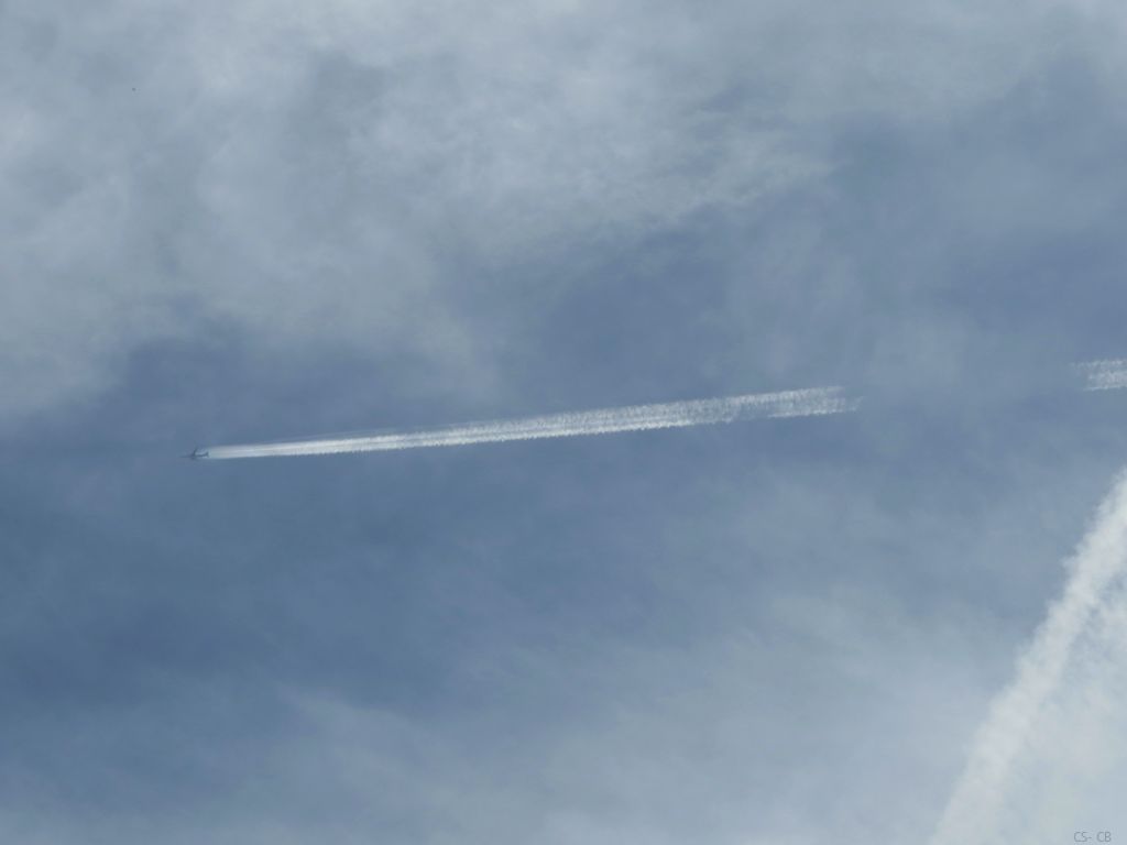 beingmyself_25's tweet photo. #SkyMess #GeoFuckery #GeoEngineering #Skywatch #LookUp #Skygazer #SprayedLikeBugs #OnOffSpraying https://t.co/Kl37Tfl10e