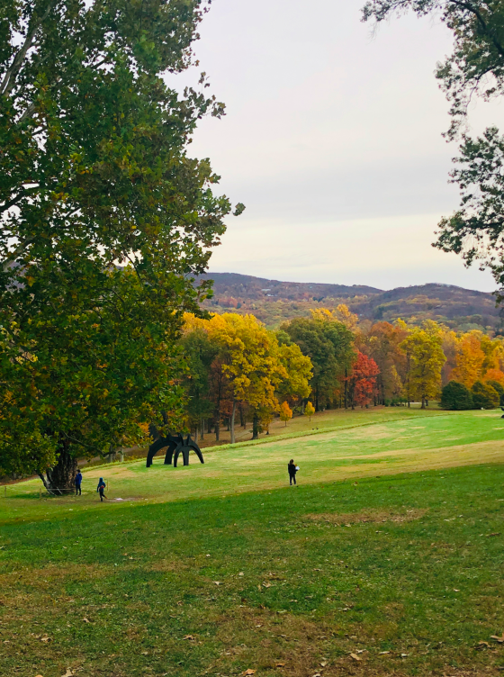 JosieGirlBlog's tweet photo. We had such a fun time at @StormKingArtCtr! Stop by the blog to read more about our time exploring this 500 acre open air museum. https://t.co/xa4yxyDlnq https://t.co/iQVgdOgfBS