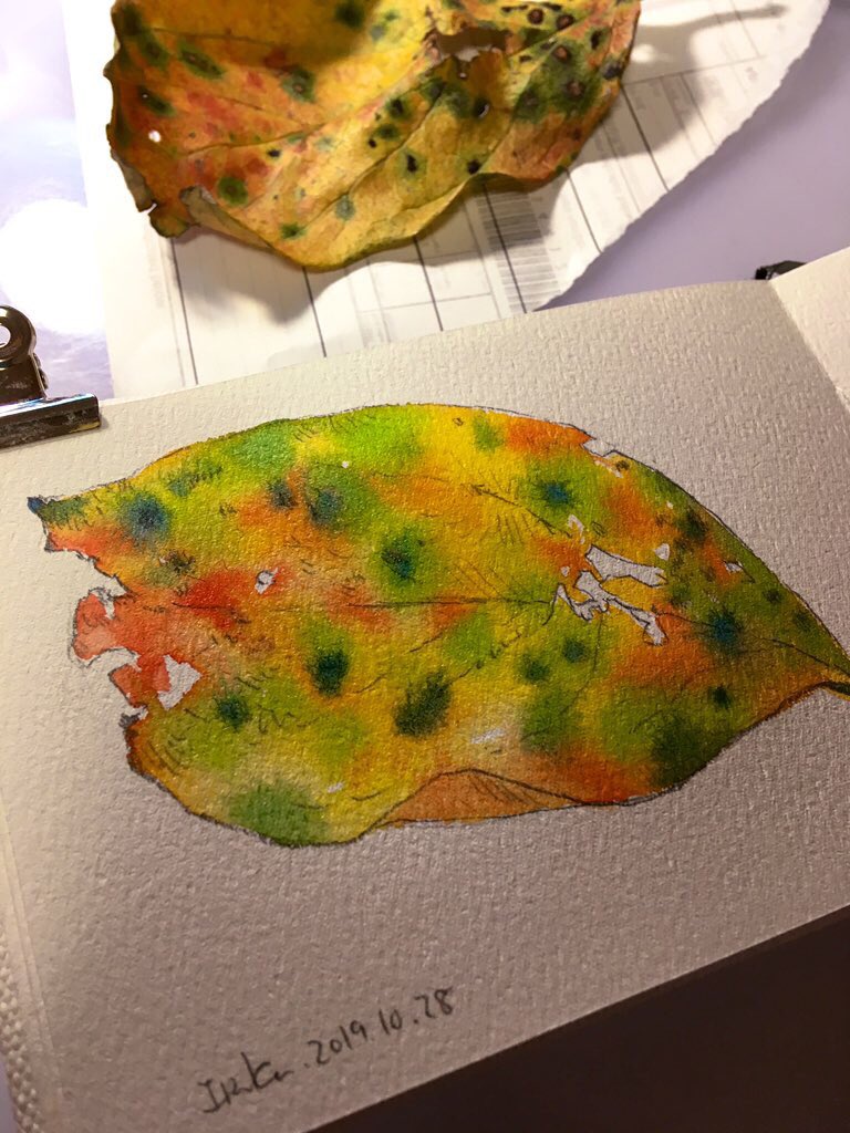 sangobouro's tweet image. Sketch before sleep. I want to make more watercolor works in this autumn. I used #etchr watercolor sketchbook.