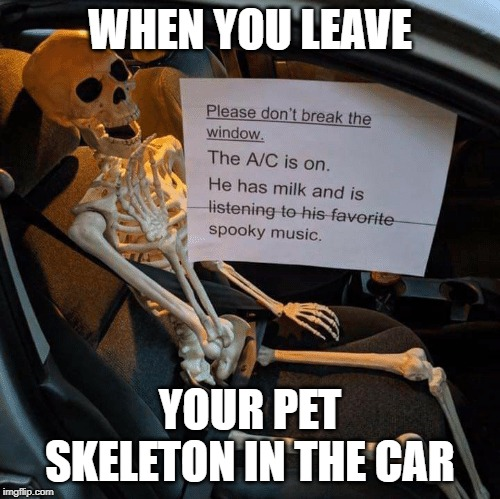 dash_hound_ins's tweet photo. Give us a call on 028 90 664999 for a free quote. #Halloween #Halloween19 https://t.co/ikDO4otYvi