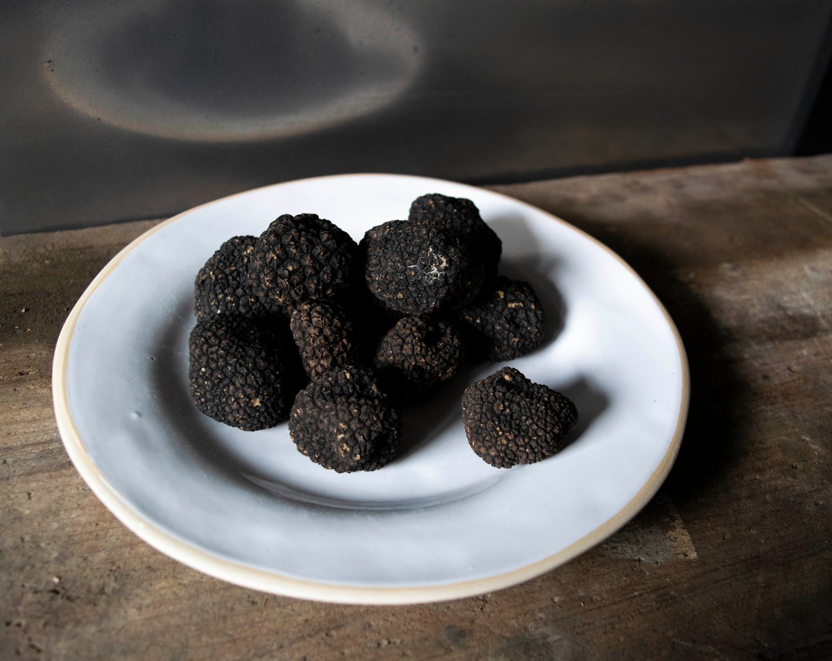 finecheesebath's tweet photo. Fresh Autumn Truffles are in our shop! A prized delicacy, Autumn Truffles (Tuber Uncinatum) are a real treat. 
Use them to:🧀Elevate cheese fondue🥚Up your scrambled egg game🍄Create an extra special mushroom risotto. Pop in for more info &amp; treat yourself to a seasonal speciality https://t.co/Qd3NnAQNvB