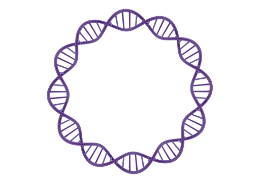 We Are Now Offering Three Grades of pDNA Vectors to Our Clients! Need pDNA vectors for your project? Is your project for pre-clinical, clinical or commercial? We’ve got you covered.  hubs.ly/H0lsM4T0 or contact us at bd@cytovance.com

#pDNA #genetherapy #plasmidDNA