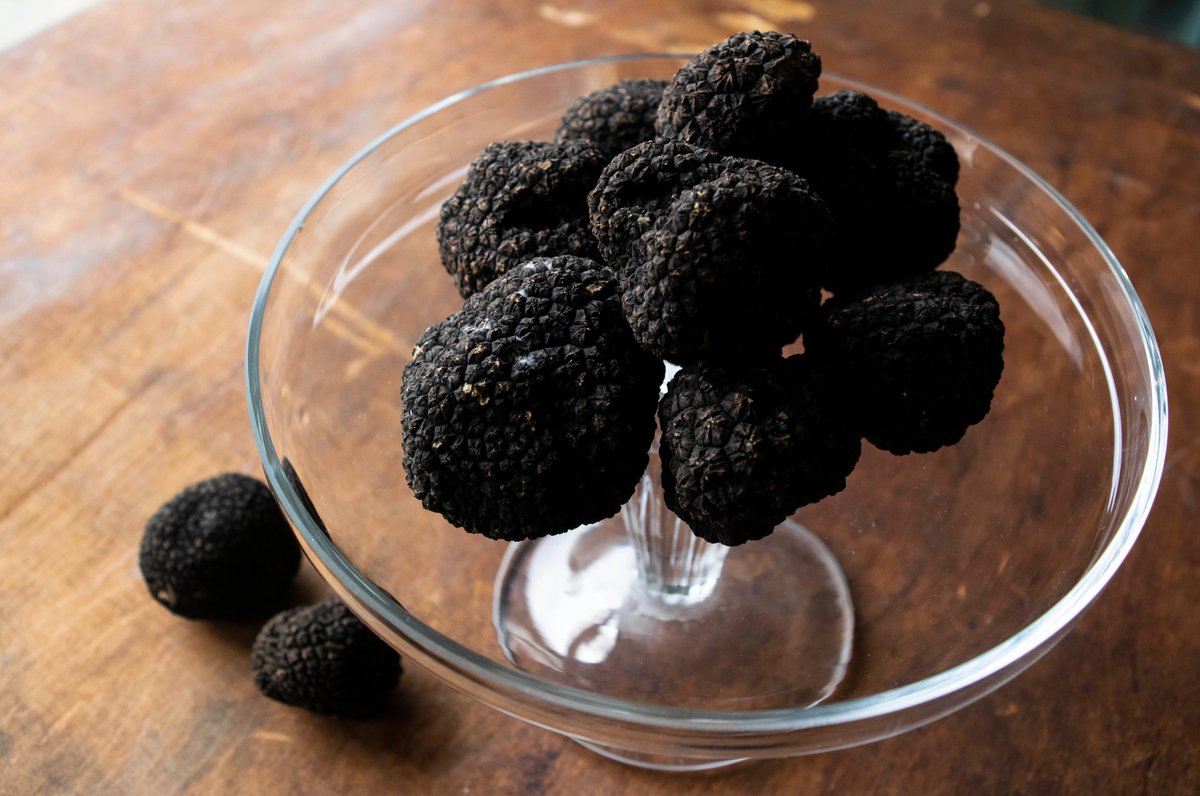 FineCheeseBelgr's tweet photo. Fresh Autumn Truffles are in our shop! A prized delicacy, Autumn Truffles (Tuber Uncinatum) are a real treat. 
Use them to:🧀Elevate cheese fondue🥚Up your scrambled egg game🍄Create an extra special mushroom risotto. Pop in for more info &amp; treat yourself to a seasonal speciality https://t.co/PBQJ3L6zVC