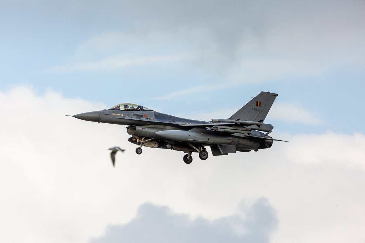 Postemamedia's tweet image. "birds" op @VlbLeeuwarden  #FWIT