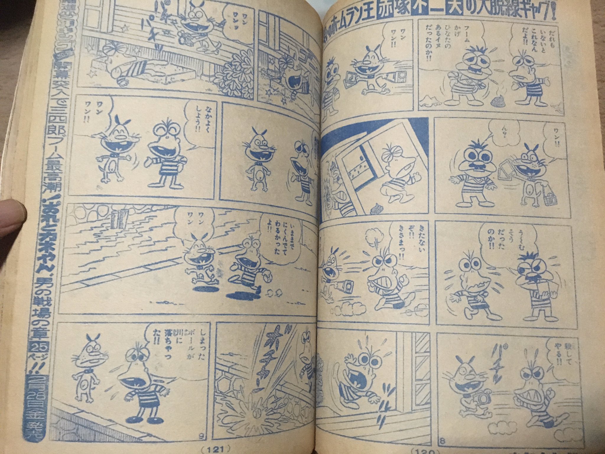 ラオヤ on X: 