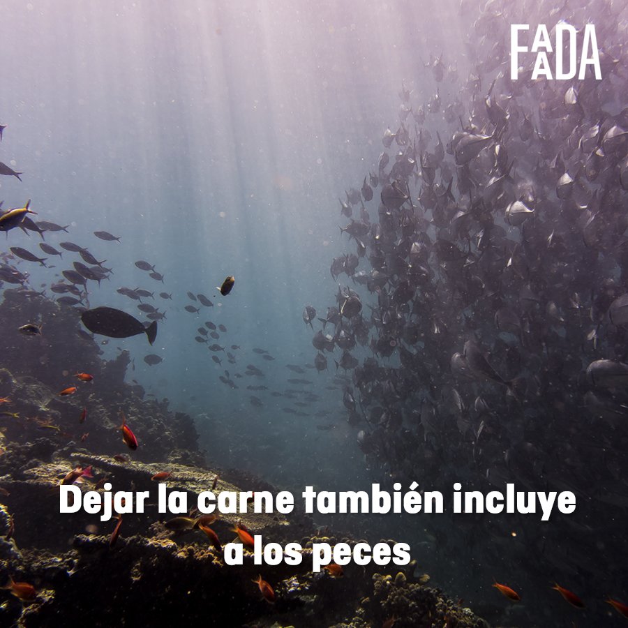 Este #LunesSinCarne recuerda que, dejar la carne también incluye a los peces.
