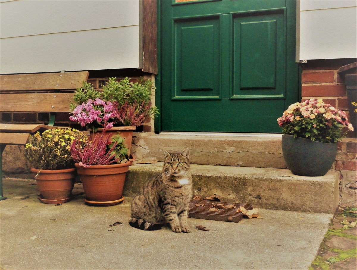 Paula & Donny (@paulaunddonny) on Twitter photo 