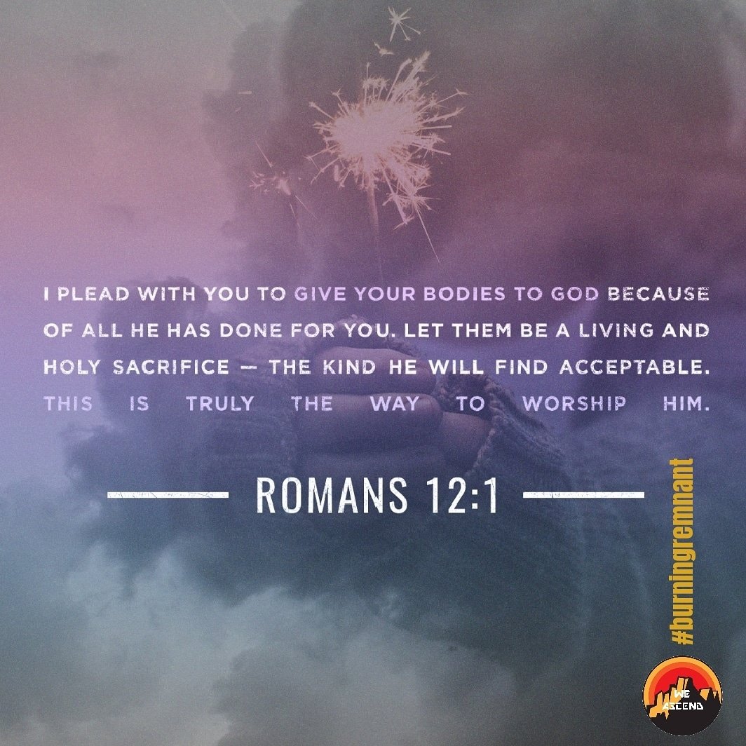 lowercaseking's tweet image. 