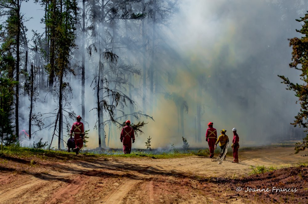 9/Forests will burnIn wildland firefighting, the first vital attacks are by air with planes & helicopters & on the ground with dozers & water trucks.Again, these equipment don't have EV replacements & once they do, the costs will make it a slow transition #FossilFuelReality