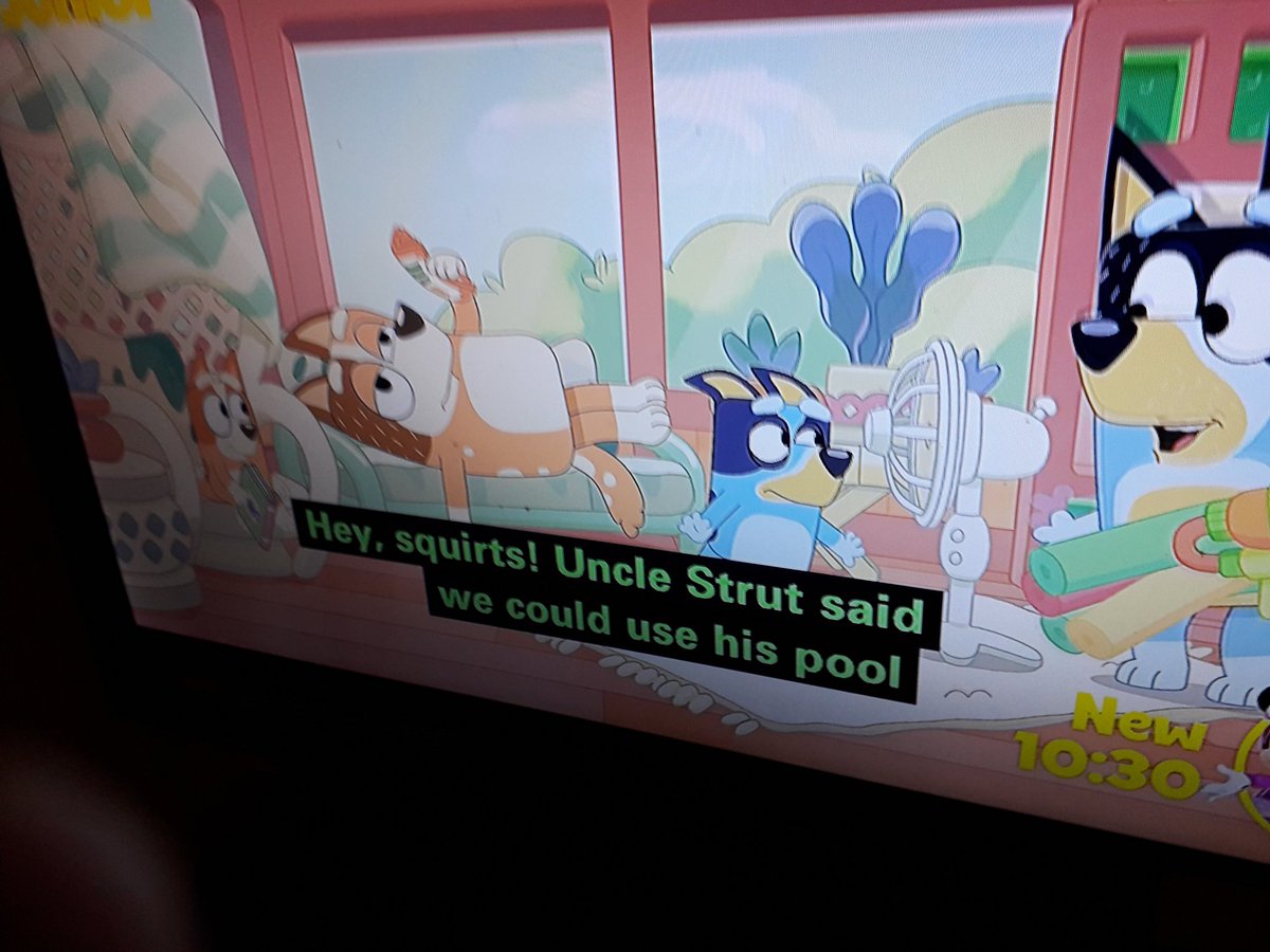 IdentFan101's tweet photo. How can you screw this up Disney?! #Bluey https://t.co/kRj2b54bur
